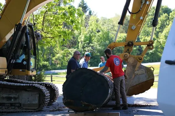 Several museum workers gather around large log and yellow crane to help move the item