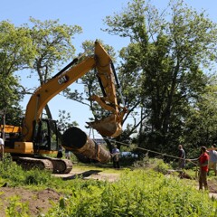 Museum worker uses rope to assist yellow crane as it places log for mishoon on the Historic Patuxet Homesite.