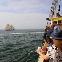 Parade of Sail Capturing the Ships from Mayflower II
