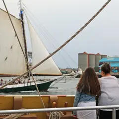 Sail boston 2026 sunset sail boston guests passing ship