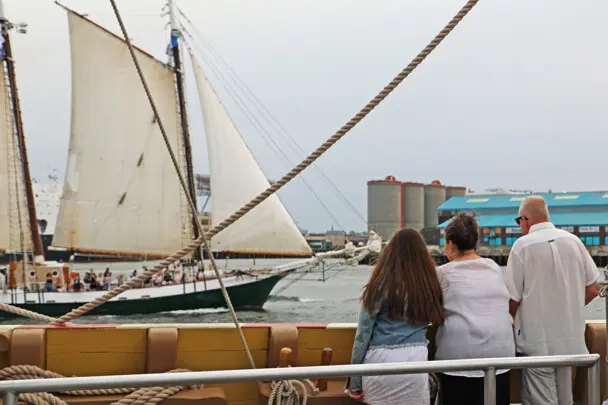 Sail boston 2026 sunset sail boston guests passing ship