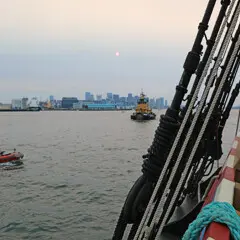 Sail boston 2026 sunset sail boston red boat tug boat skyline