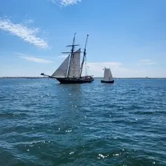Tall ship lynx fuller shallop nantucket sound sailing