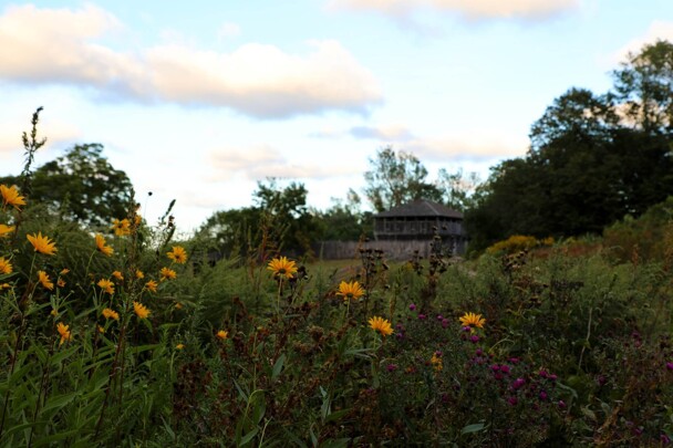 The Fort/Meeting House beyon a lush green garden with yellow flowers.