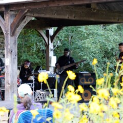 The GroovaLottos perform at the Craft Center Pavillion. Yellow flowers are at the foreground.