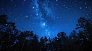 Firelight winter after dark plimoth patuxet
