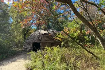 Wetu with fall leaves