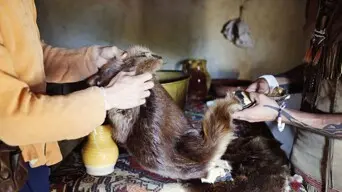 A Wampanoag man and a Pilgrim man trade items inside an English style house.