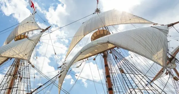 Two mayflower sails seen from below