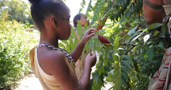 children in regalia gather sumac