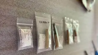 Artifacts in clear enclosures