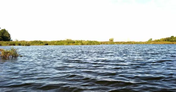 waves on blue river with green trees in the distance