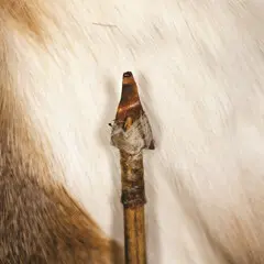 An arrow with a brass point laid on fur