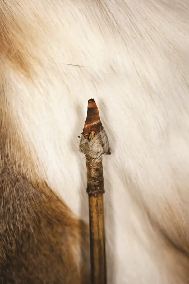 An arrow with a brass point laid on fur