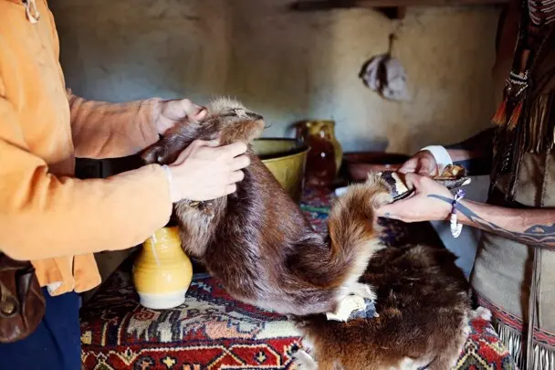 A Wampanoag man and a Pilgrim man each hold one end of a fur pelt. They stand on opposites sides of a table strewn with additional trade items.