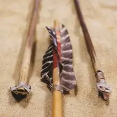 Three brass pointed arrows on a fur.