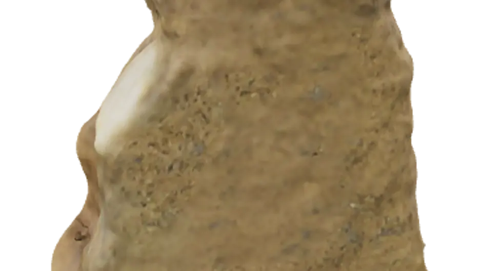 Artifact image fallback