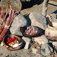Wampanoag food
